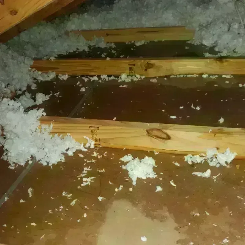 Attic Water Damage in Montgomery County, MO