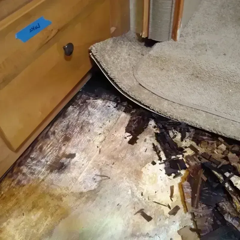 Wood Floor Water Damage in Montgomery County, MO